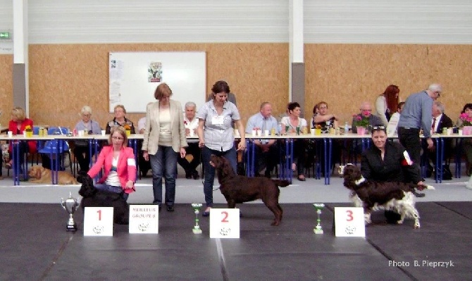 De la prieutiere - BAR LE DUC exposition canine