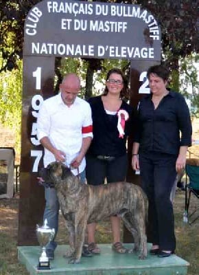 Nationale d'élevage 2012