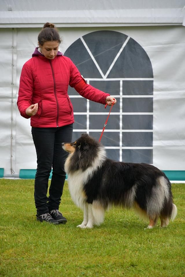 de la Fleur d'Ecosse - Nationale d'élevage 2018