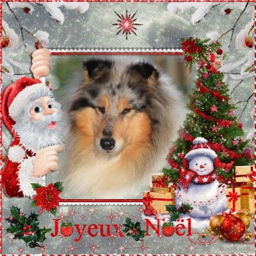 de la Fleur d'Ecosse - Joyeux noël ! 