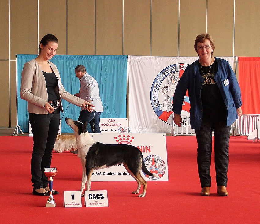 de la Fleur d'Ecosse - Lara CHAMPIONNE DE FRANCE !!!