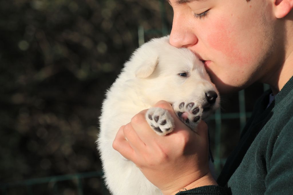 di u Vecchiu - Des photos des bébés sur leur page !