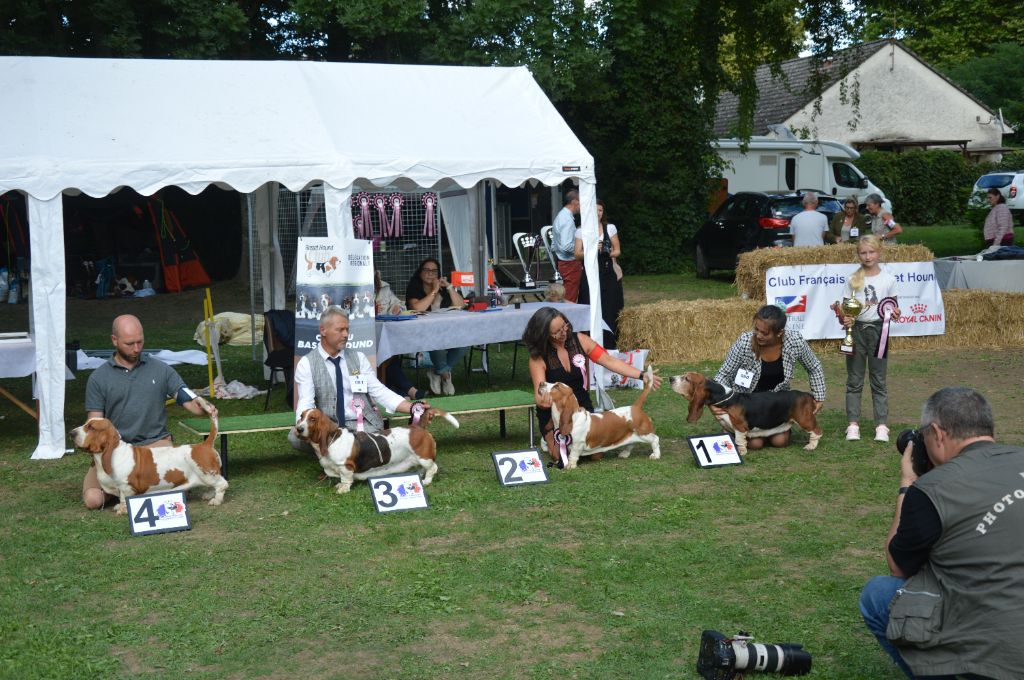 NATIONALE BASSET HOUND 2022