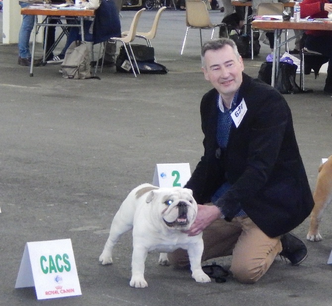 Des wonderfuls bulls - EXPOSITION ANGERS 2016