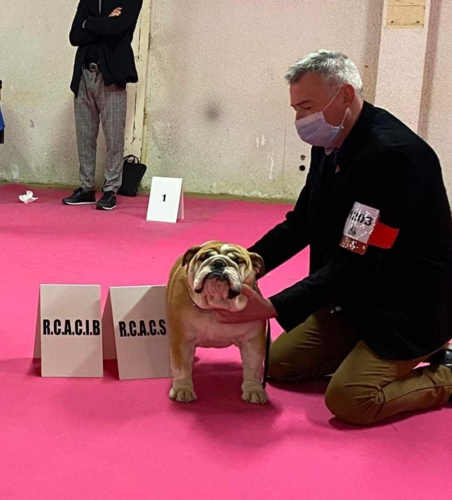 Exposition canine Bourges 2022