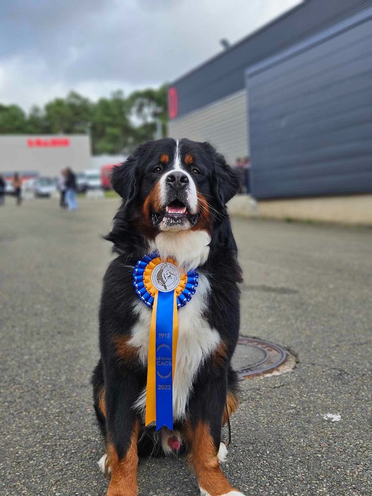 derniers résultats de l'année pour notre boubou !