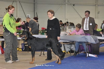 de la Noé d'Orient - Résultats d'expo de Metz !