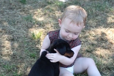 de la Noé d'Orient - Photos des chiots à 5 semaines.....