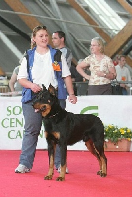 de la Noé d'Orient - Challenge Pedigree 2006 !!