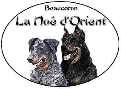 de la Noé d'Orient - Bilan 2009 ...