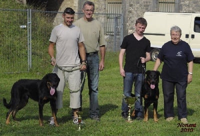 de la Noé d'Orient - 12 septembre : Résultats de la JB de Belfort ....