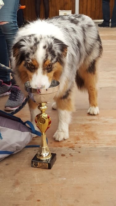 Du rivage des mille etangs - En Canincross, Jaika gagne sa première course le 5 mai 2016