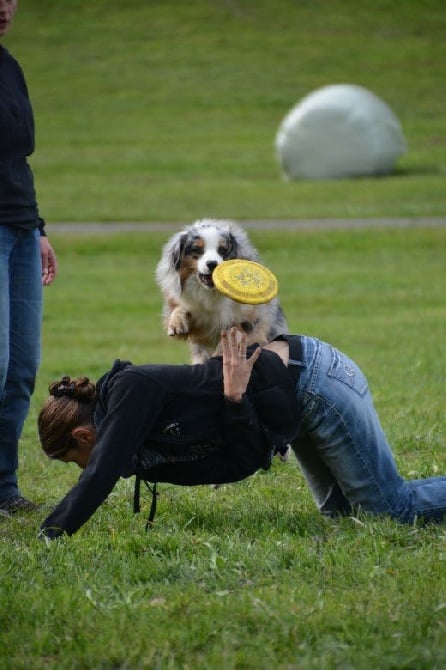 Jaïka, Aurore et le Frisbee...une jolie histoire!...