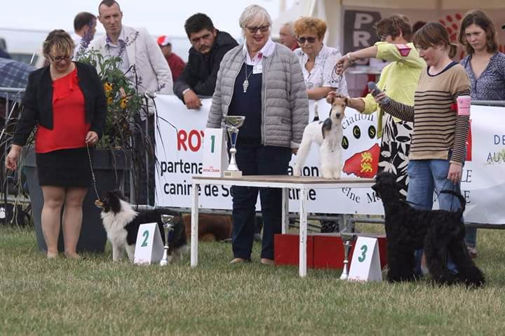 Du clos des amoureux - NABUCCO ENCORE UN BEST IN SHOW 