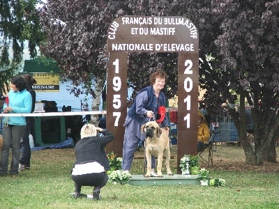 De la louvagerie - Nationale d'Elevage 2011