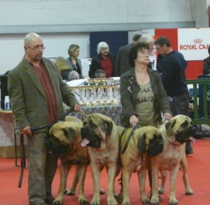 De la louvagerie - photo du 1er de la classe élevage à ROUEN