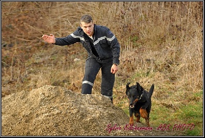 Des monts du lac - Concours de Sauvetage