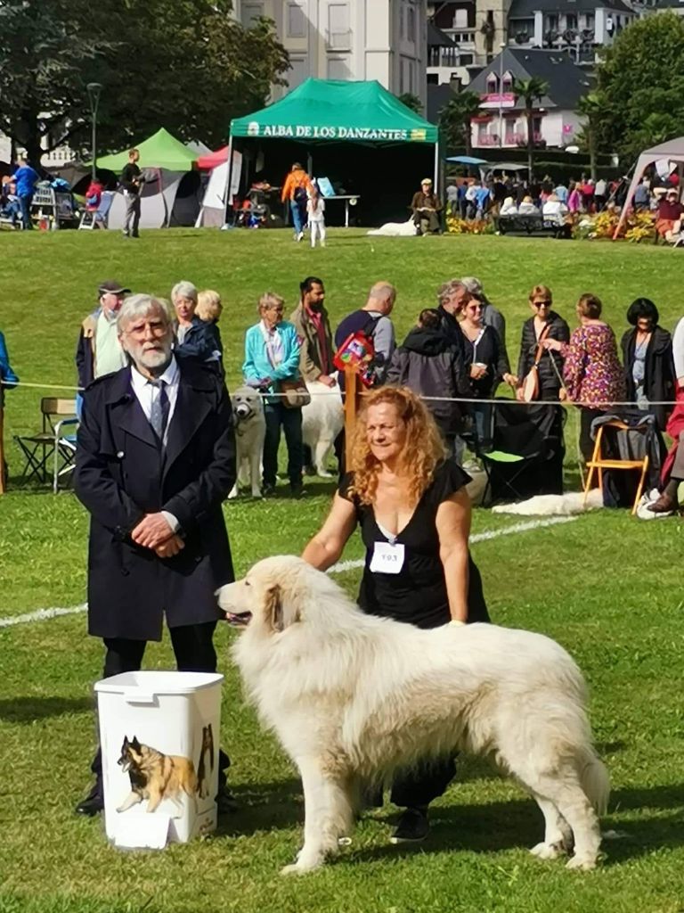 Martin L'Ours de la Vallée du Girou