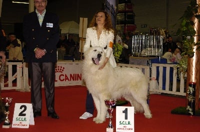 de la Vallée du Girou - EROS BEST IN SHOW JUNIOR BEZIERS 2011