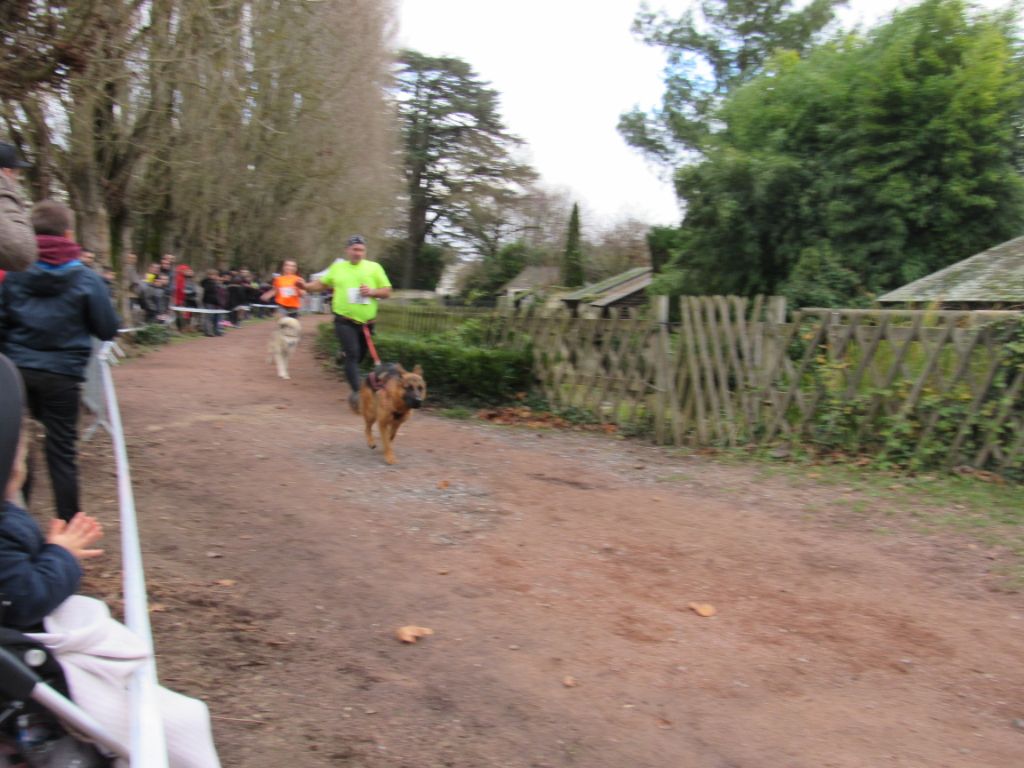 des Malicieux Germéco - canicross du macc le  09/12/18