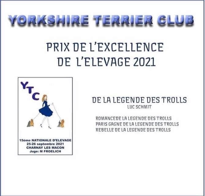 de la légende des trolls - Prix d excellence pour 4 ans consécutifs bravo mes loulous 