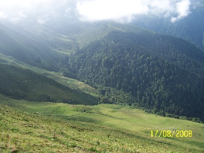 de Capagut - Comptage Perdreaux Pyrénées