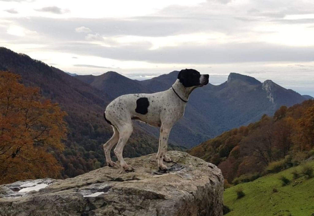 de Capagut - Lila au sommet des Pyrénées 