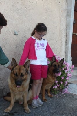 de la Grotte d'Ouvea - perte de votre chien.....nous cherchons toujours éMIR 