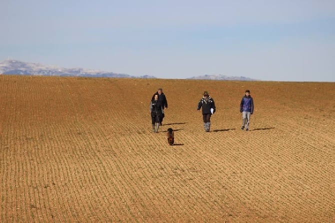 de la Grotte d'Ouvea - SELECTIF A MANOSQUE PLATEAU DE VALENSOLE -04-