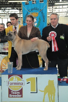 lou gardian di prouvenço - CACIB Forli (Italy)