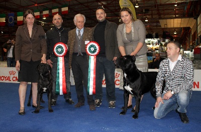 lou gardian di prouvenço - ANCONA (italie) 2012