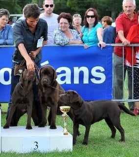 Romorantin 2011