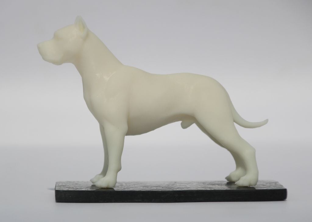 STATUE EN RESINE DOGUE ARGENTIN