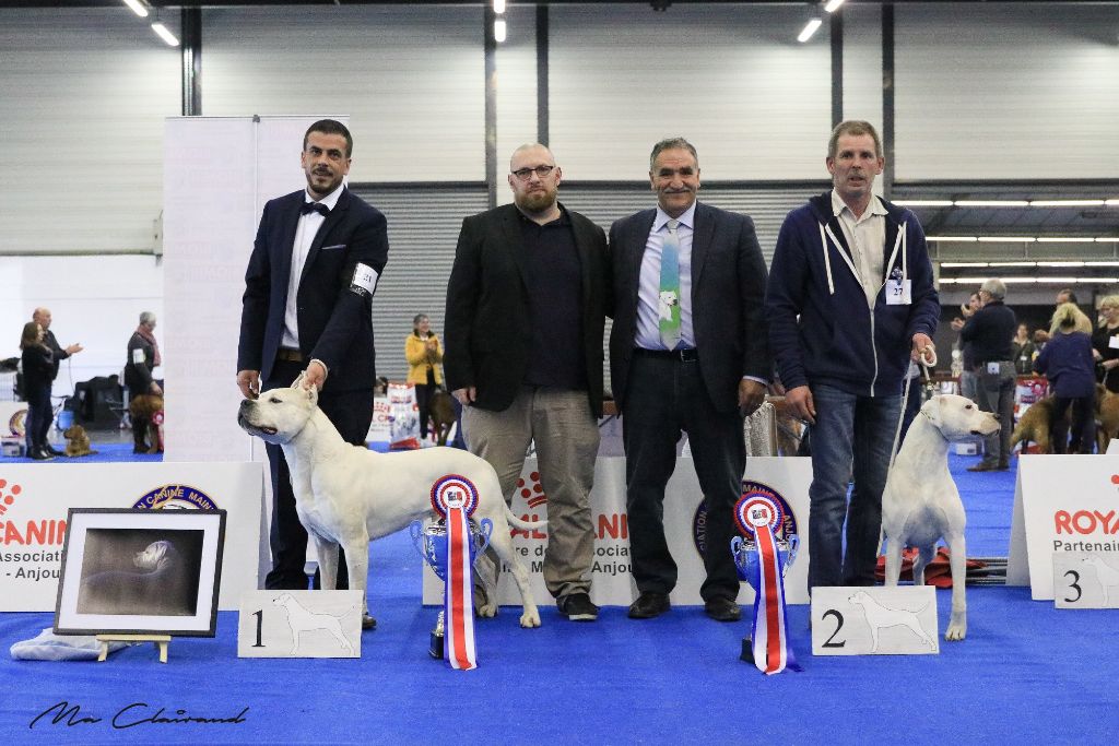 du Domaine du Sable Blanc - Exposition d'Angers - 2019 