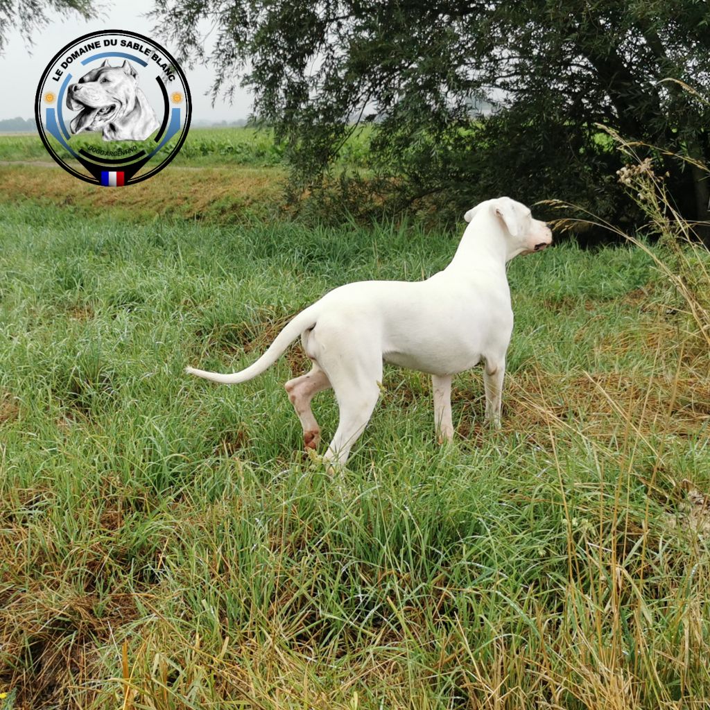 du Domaine du Sable Blanc - Découverte d'envol de canards pour Roldana