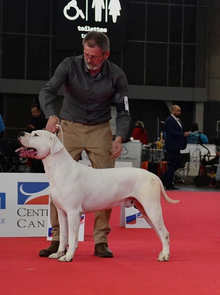 du Domaine du Sable Blanc - Vice Champion d'Europe Highlander Del Do Yel 