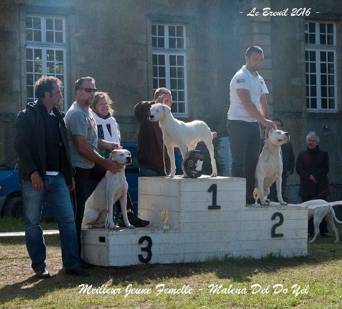 du Domaine du Sable Blanc - Le Breuil - Meilleur jeune Femelle