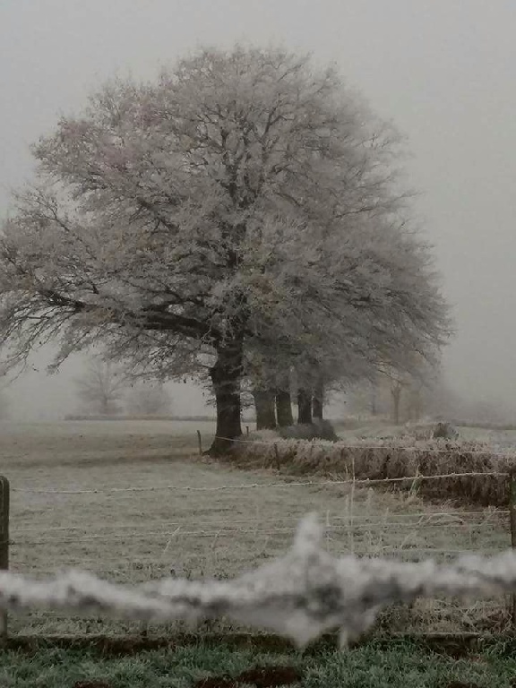 des Bourbon d'Allier - Decembre a VOUSSAC..