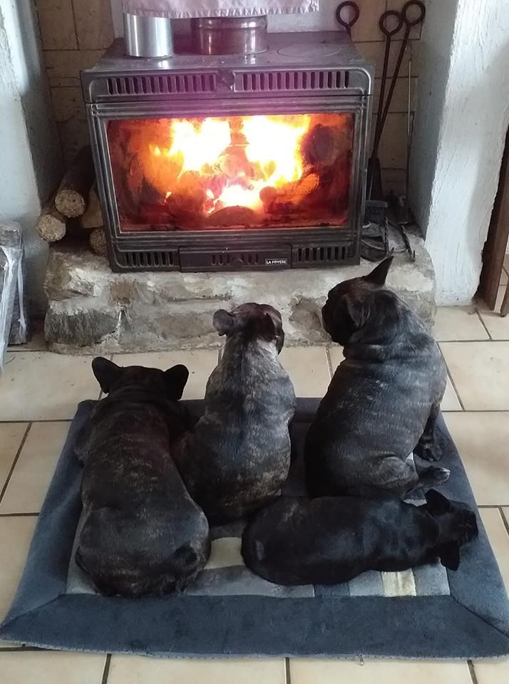 des Bourbon d'Allier - .. AU COIN DU FEU..