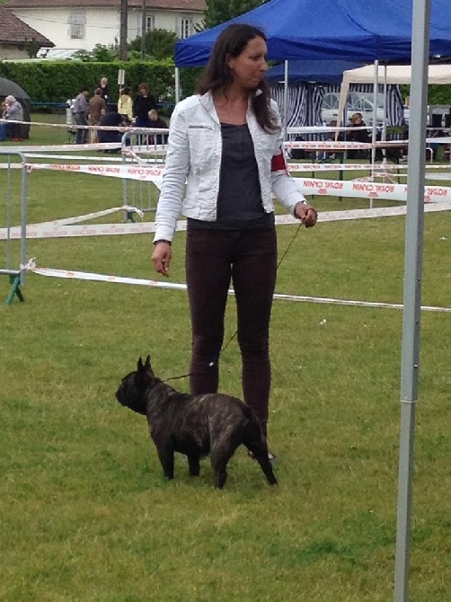 des Bourbon d'Allier - EXPO DE HERM- DAX...