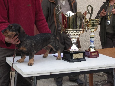 des Cévennes Lozériennes - WE BhFK en Midi-Pyrénées