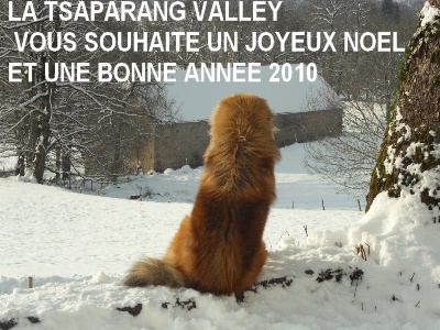 de la Tsaparang Valley - JOYEUSES FETES