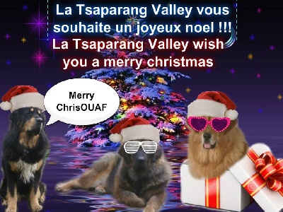 de la Tsaparang Valley - JOYEUX NOEL