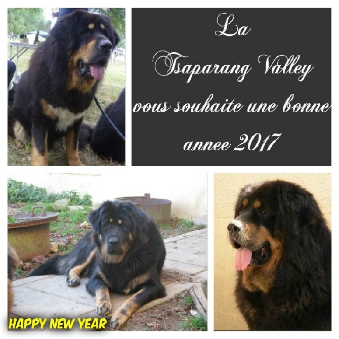 de la Tsaparang Valley - Bonne Année 2017