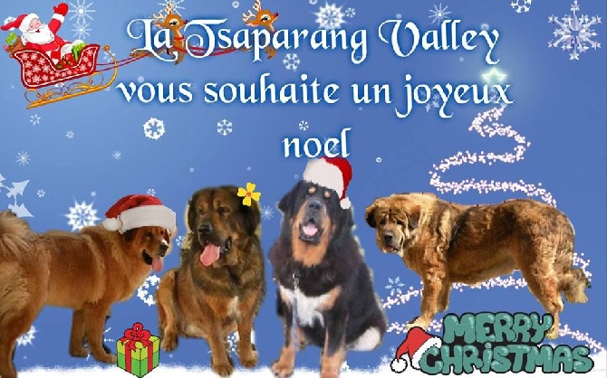 de la Tsaparang Valley - Joyeux Noël