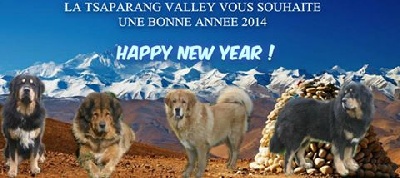 de la Tsaparang Valley - Bonne année