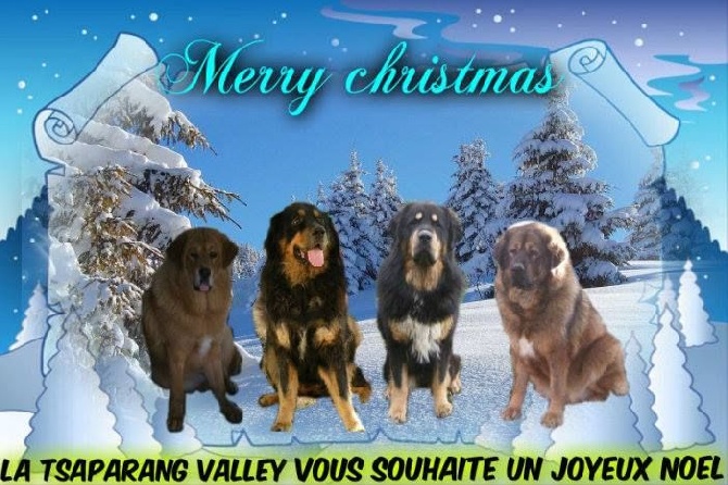 de la Tsaparang Valley - JOYEUX NOEL