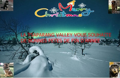 de la Tsaparang Valley - JOYEUSES FETES