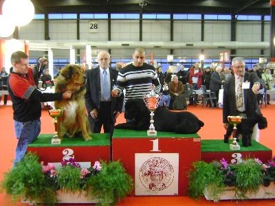 de la Tsaparang Valley - Résultat de l'expo de Bordeaux