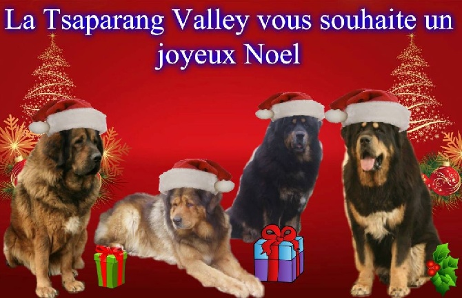 de la Tsaparang Valley - JOYEUX NOEL  a toutes et tous